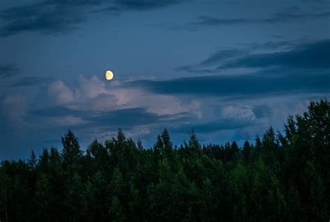 Moon Night Sky Landscape