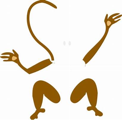 Monkey Legs Arms Clipart Clip Lady Transparent