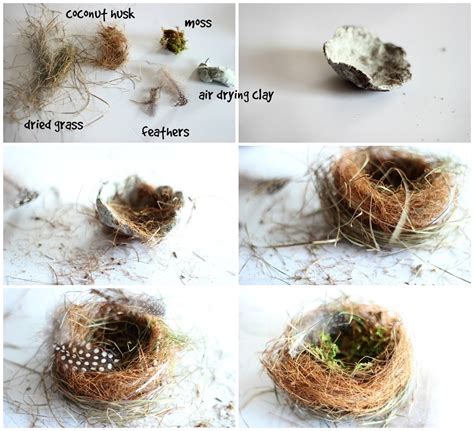 Making A Realistic Birds Nest
