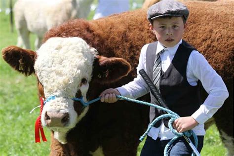 Make A Note Of The Date For Dundalk Agricultural Show 2023 Lsl