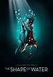 THE SHAPE OF WATER | The shape of water, Water movie, Movie poster art