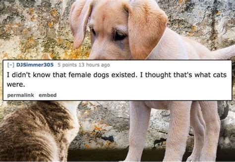 People Share The Dumbest Thing They Believed When They Were Kids 13 Pics