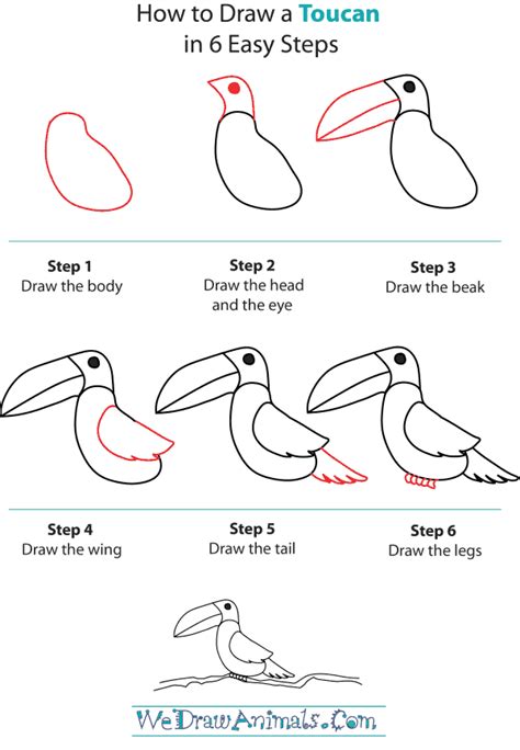 How To Draw A Toucan In 6 Easy Steps Drawing