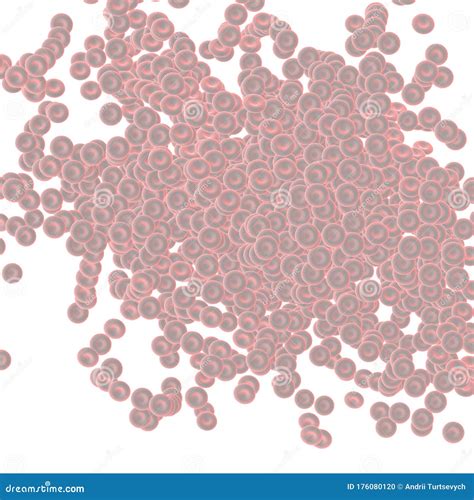 Red Blood Cells Red Blood Cells Under The Microscope Stock Illustration