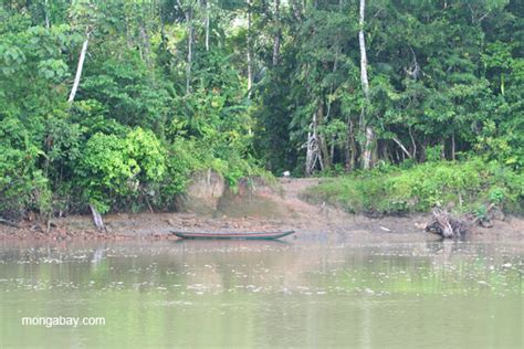 Canoe On The Edge Of The Napo River In The Ecuadorian Amazon