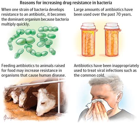 Antibiotic Resistance Clinical Pharmacy And Pharmacology Jama