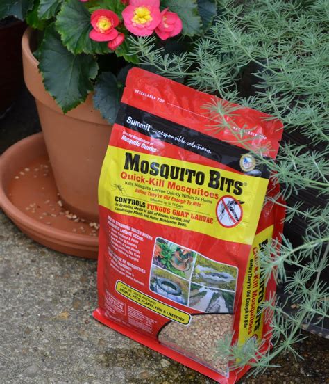 You Can Use Mosquito Bits To Control Fungus Gnats Summit