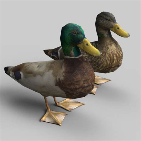 Ducks 3d Model 10 3ds Dae Obj Skp Unitypackage Free3d