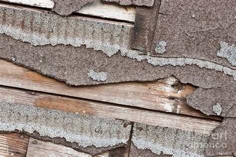 Deteriorating Asbestos Shingles Photograph By Inga Spence Pixels