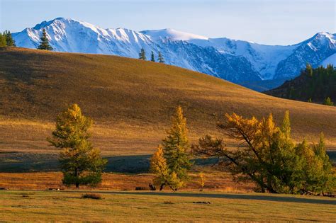 Altai Mountains Autumn Free Photo On Pixabay Pixabay