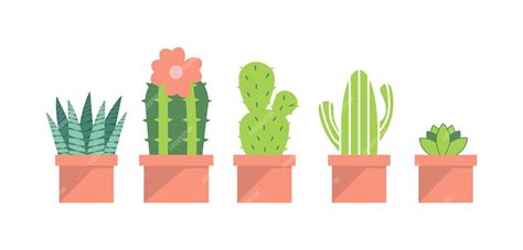 Doodle Conjunto De Ilustración De Plantas De Cactus Vector Premium