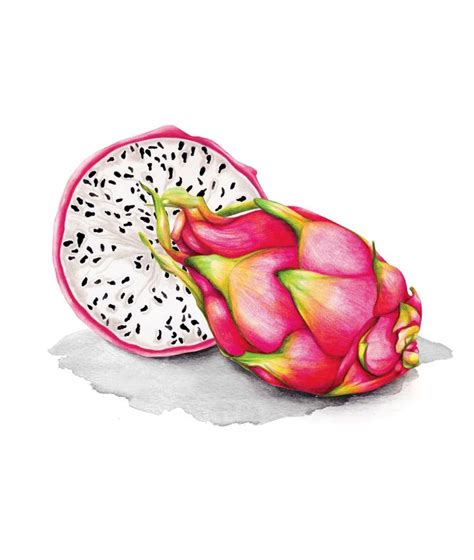 Dragon Fruit Watercolour Illustration Art Print By Amanda Dilworth