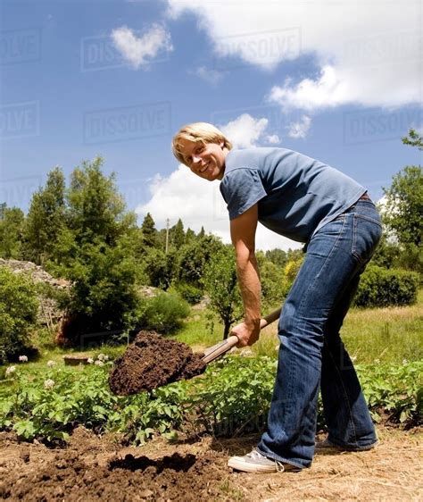 Man Digging In Garden Stock Photo Dissolve