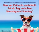 20 lustige Bilder mit Sprüchen zum Wochenende - Content-Marketing by ...