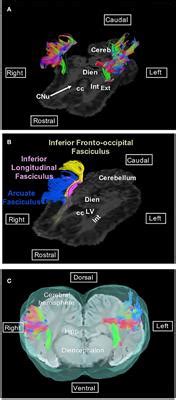 The journal's mission is to bring all relevant veterinary sciences together on a single platform with the goal of improving animal and human health. Frontiers | Diffusion Tensor Imaging Tractography of White ...
