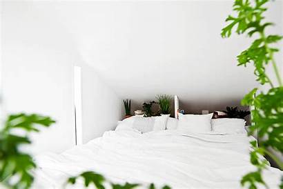 Bedroom Dream Stockholm Apartment Scandinavian Cosy Flowers