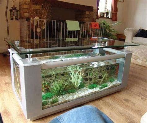This is not a tutorial on how to make a coffee table aquarium. 15 Beautiful Aquarium Coffee Table Design Ideas For The ...