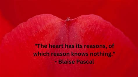 "Eternal Echoes: Emotive Gems for the Soul" - YouTube