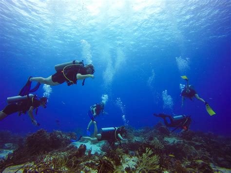 The Best Scuba Diving Spots In Cozumel Mexico