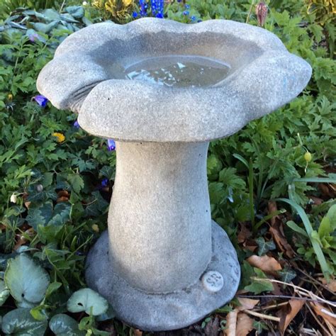Stone Garden Mushroom Bird Bath Toadstool Feeder Ferney Heyes Garden