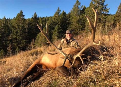 Idaho Rifle Bull Elk Idaho United States