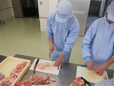 パック入りの肉から想像できますか？ ～鶏解体実習～ 長崎県立学校ホームページ