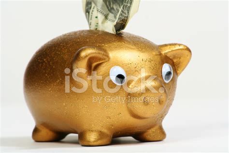 Gold Piggy Bank Stock Photo Royalty Free Freeimages