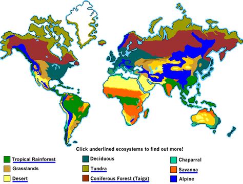 The Different Eco Systems Across The Globe Tropical Grasslands