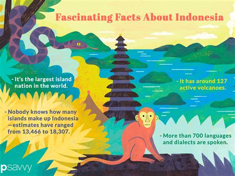 Interesting Facts About Indonesia 8 Fun Facts About Indonesia
