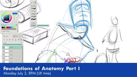 Foundations Of Anatomy