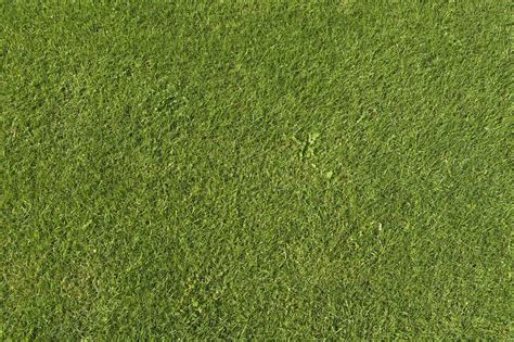Grass Ground Texture En Yeniler En İyiler 金 Grass Pattern