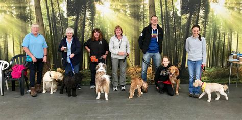 Puppy Training Classes Dog Training And Doggy Daycare Lytham Preston