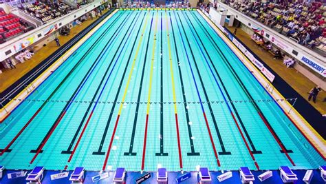 Olympic swimming pool | swimming cake, … перевести эту страницу. Olympic Swimming Pool Stock Footage Video | Shutterstock