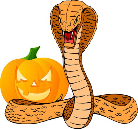Snake And Pumpkin Clip Art At Vector Clip Art Online