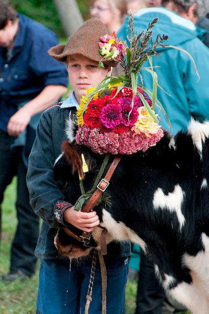 Viehschau Heiden Cow Costume Alpine Style Swiss Switzerland