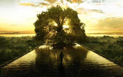 Tree Of Life Eternal Fountain Tree Hd Wallpaper Nature And Landscape