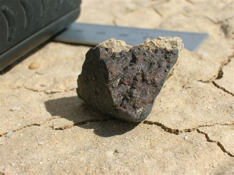 Dscn6029 The Utas Collection Of Meteorites