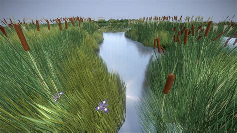 Reeds Done Buy Royalty Free 3d Model By Vis All 3d Vis All