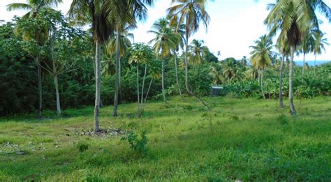 It was commonly known as the amount of land a farmer could plow in one day here is the result, a fisheye mosaic of photos. Half Acre Portion Of Land In Marigot - Millenia Realty ...