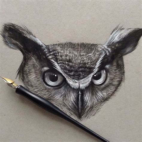 Horned Owl Realistic Pencil Animal Drawings By Jonathan Martinez