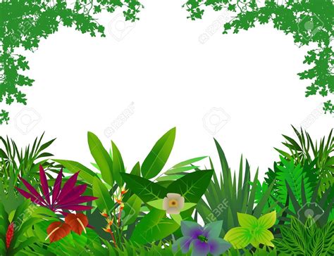 Forest Clipart Hd 20 Free Cliparts Download Images On Clipground 2023
