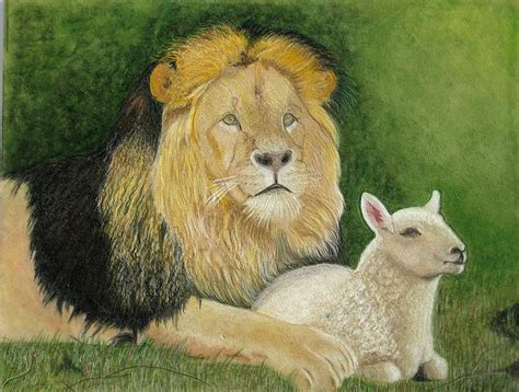 Lamb Of God Lion Of Judah Drawing By Lori Hanks