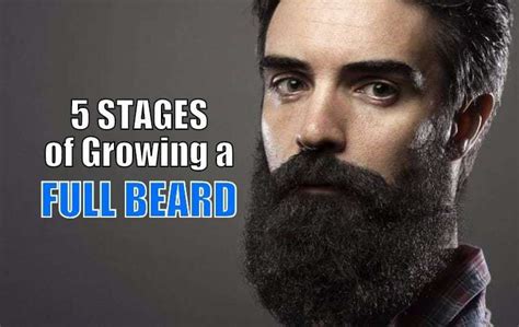 5 Stages Of Beard Growth Cycle Beardstyle