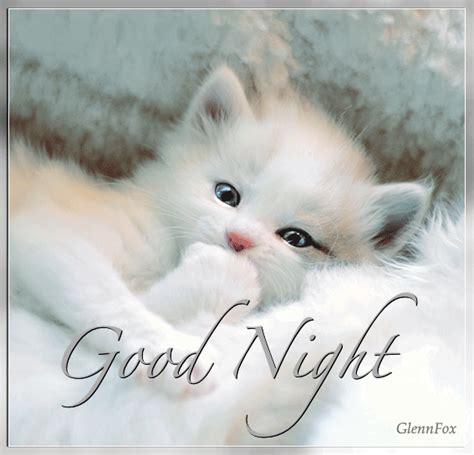 Cute Kittens Cats And Kittens Good Night Sweet Dreams Nighty Night