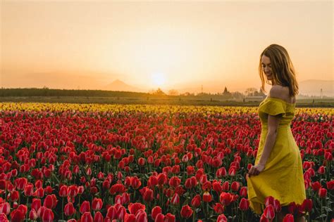 Check spelling or type a new query. A Portland, Oregon Day Trip to Wooden Shoe Tulip Festival ...