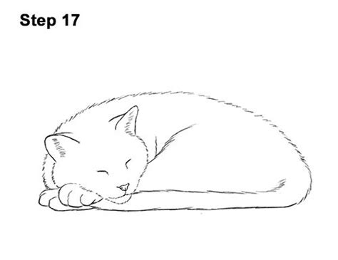 How To Draw A Cat Kitten Sleeping 17 Sleeping Drawing Cats Art