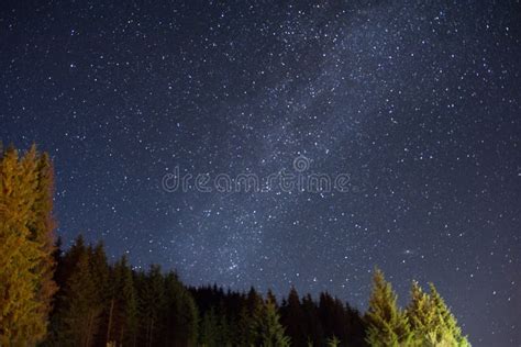Starry Sky In The Night Forest Stock Image Image Of Needles Autumn
