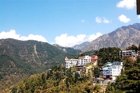Mcleod Ganj Tibetan Town At Upper Dharamsala Dreamtrails