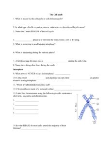 The cell cycle worksheet answer key mychaume. Cell Division Worksheet Answer Key