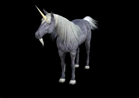 Top 175 Unicorn Real Animal
